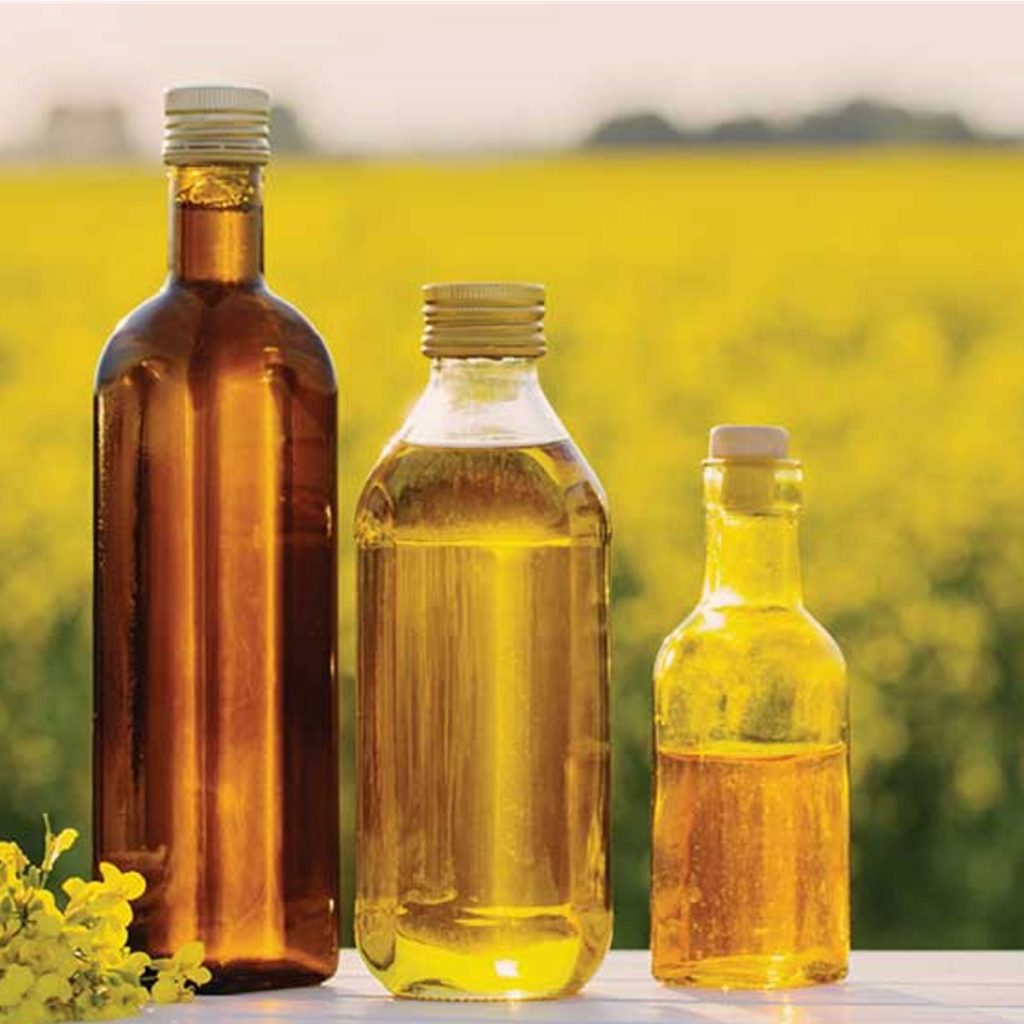 Canola oil Dancorp Exports