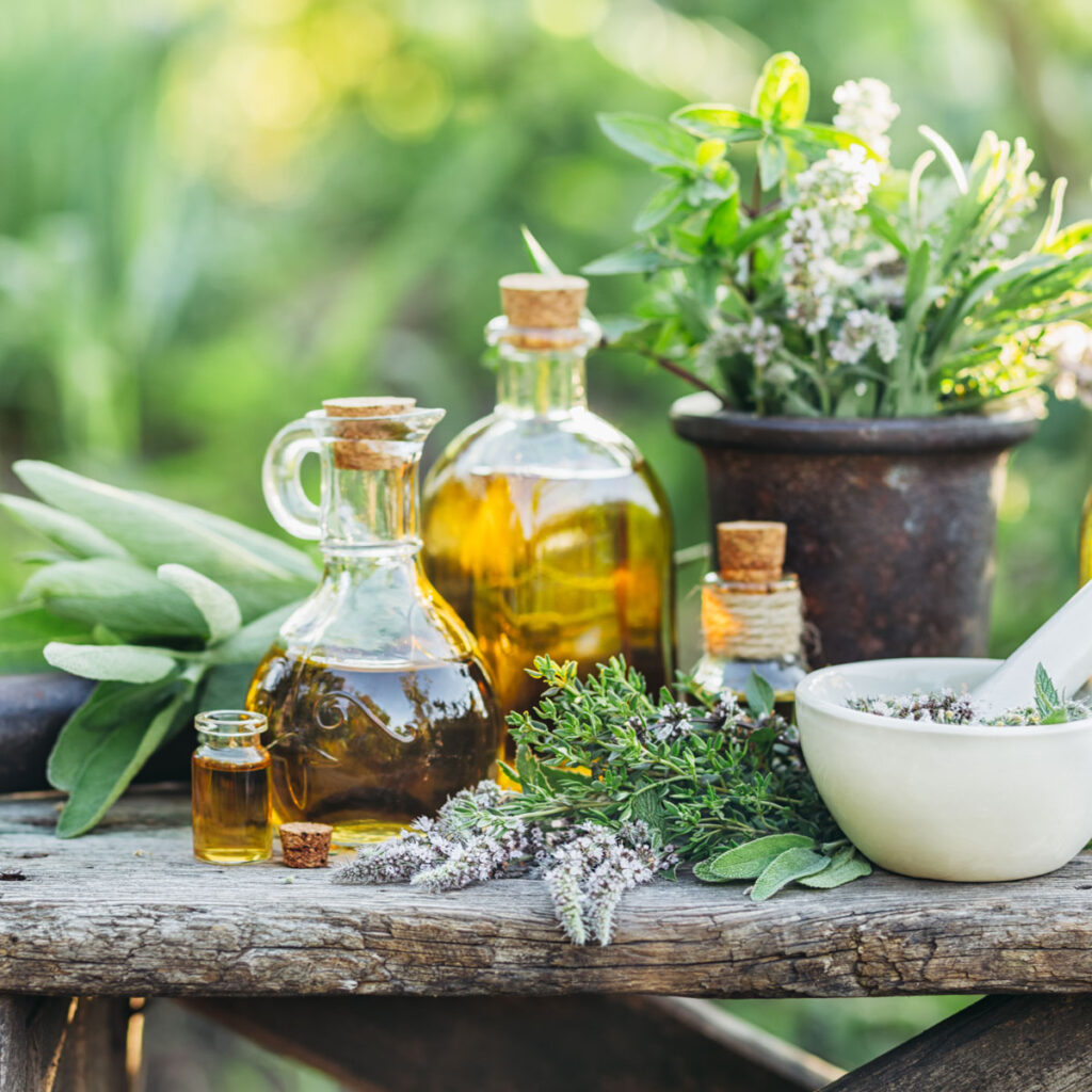 Herbs & Flowers Export Import Company In Canada Dancorp Exports